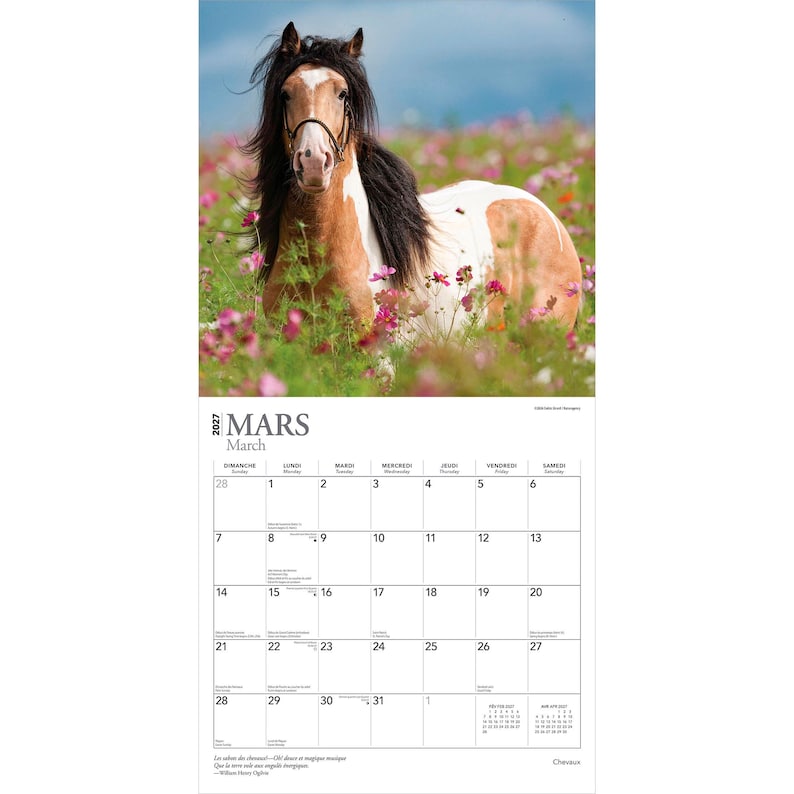 May include: A 2027 wall calendar featuring a photograph of a brown and white pinto horse with a black mane standing in a field of pink and purple cosmos flowers. The calendar grid for the month of March is displayed below the horse image.