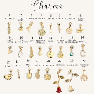 Add-on Charms Initial Zodiac Birthstone Charms Personalized Mother's Day Gift for her Stainless Steel Charms for Charm Bracelet