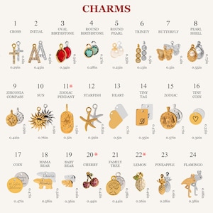 Personalized Stainless Steel Charm: Initial, Zodiac, Birthstone - Add-on Charm