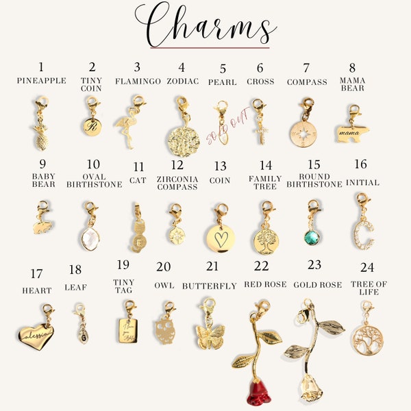 Add-on Charms Initial Zodiac Birthstone Charms Personalized Mother's Day Gift for her Stainless Steel Charms for Charm Bracelet