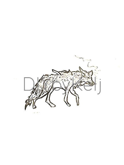 coyote smoking a cigarette Colter Wall Smoking Coyote - Etsy Ireland