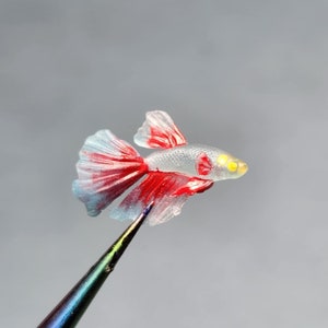 Miniature Spooky Hand Painted Betta Fish