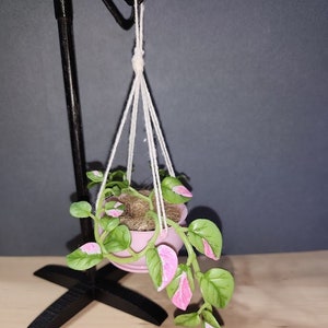 Miniverse Hanging Planter