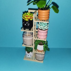Miniverse Succulent Plant Stand