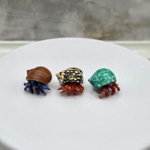 May include: Three miniature hermit crab figurines. One has a brown shell and blue legs, the second has a black, gold, and white shell with orange legs, and the third has a teal shell and red legs.