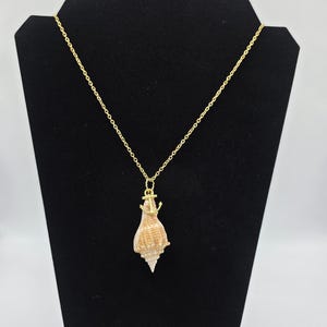 May include: A gold-coloured chain necklace with a seashell pendant. The pendant is a natural seashell with a gold-coloured anchor charm attached. The necklace is displayed on a black velvet stand against a white background.