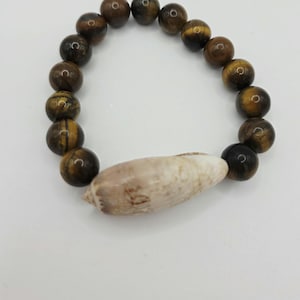 May include: A beaded bracelet featuring tiger's eye beads and a natural seashell. The bracelet's beads are a mix of brown and gold, with a polished finish. The seashell is a light beige color.