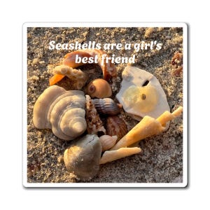 Muschel Freundschaft Magnet: Maritime Dekoration