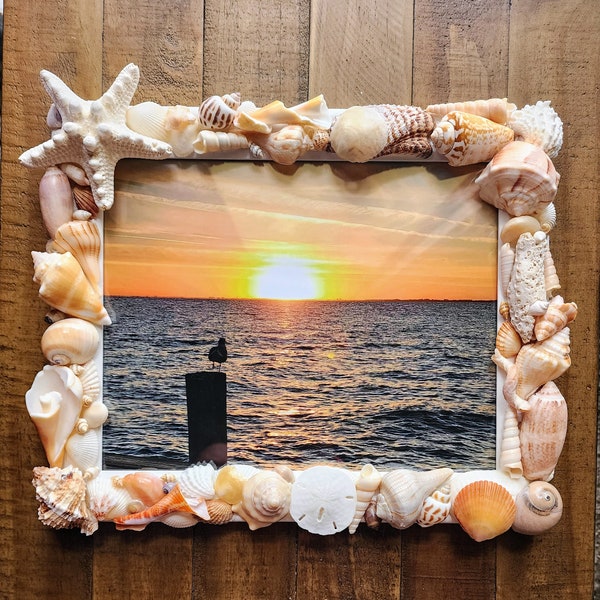 Seashell Frame - Etsy
