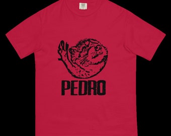 Pedro | Waschbär-Shirt | lustiges Meme-Shirt | Geschenk