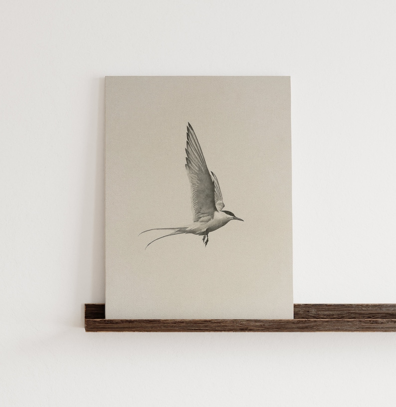 Pinetree Art Metall-Vogel-Wanddekoration - Fliegende Gänse In Schwarz