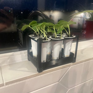 Self Watering Seed Starter