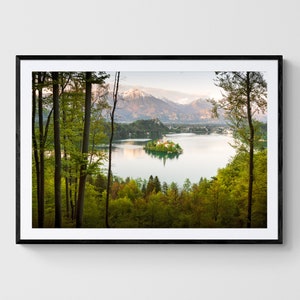 May include: A scenic photograph of a lake with a small island in the middle. The island has a church and trees. The lake is surrounded by mountains and trees. The photo was taken from a high vantage point, looking down on the lake.