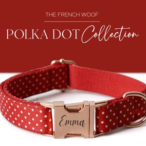 May include: Red dog collar with white polka dots and a gold metal buckle engraved with the name "Emma".