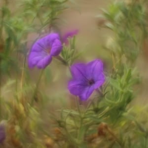 PETZVAL HELIOS-44-2 f2/58 mm レンズ、超渦巻きボケ用改造