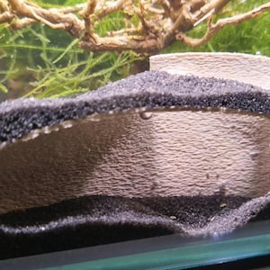 Aquarium Terrarium Grotte à Poissons Grotte Aspect Pierre Betta Perche Crevette Poisson-Chat - différentes tailles et couleurs - respectueux de l'environnement