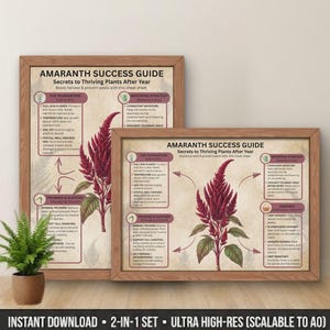 May include: Two framed Amaranth Success Guide posters. The posters have a wooden frame and feature a detailed guide on growing amaranth plants. The text includes tips on watering, pruning, and harvesting. The posters are a 2-in-1 set and are ultra high-res.