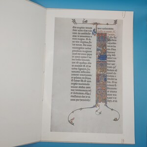 Peut inclure: Page d'un livre ancien avec des illustrations et du texte colorés. La page présente une grande lettre initiale décorée et des bordures détaillées, avec du texte dans une police classique. Le style suggère un manuscrit historique ou religieux.