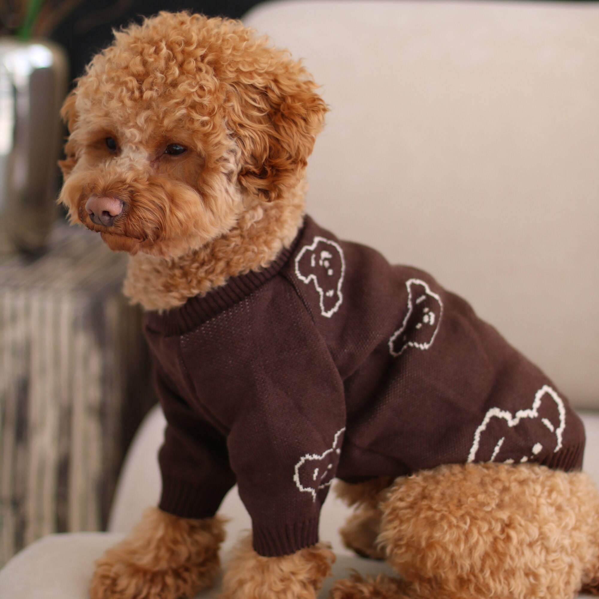 Michael kors dog clothes discount