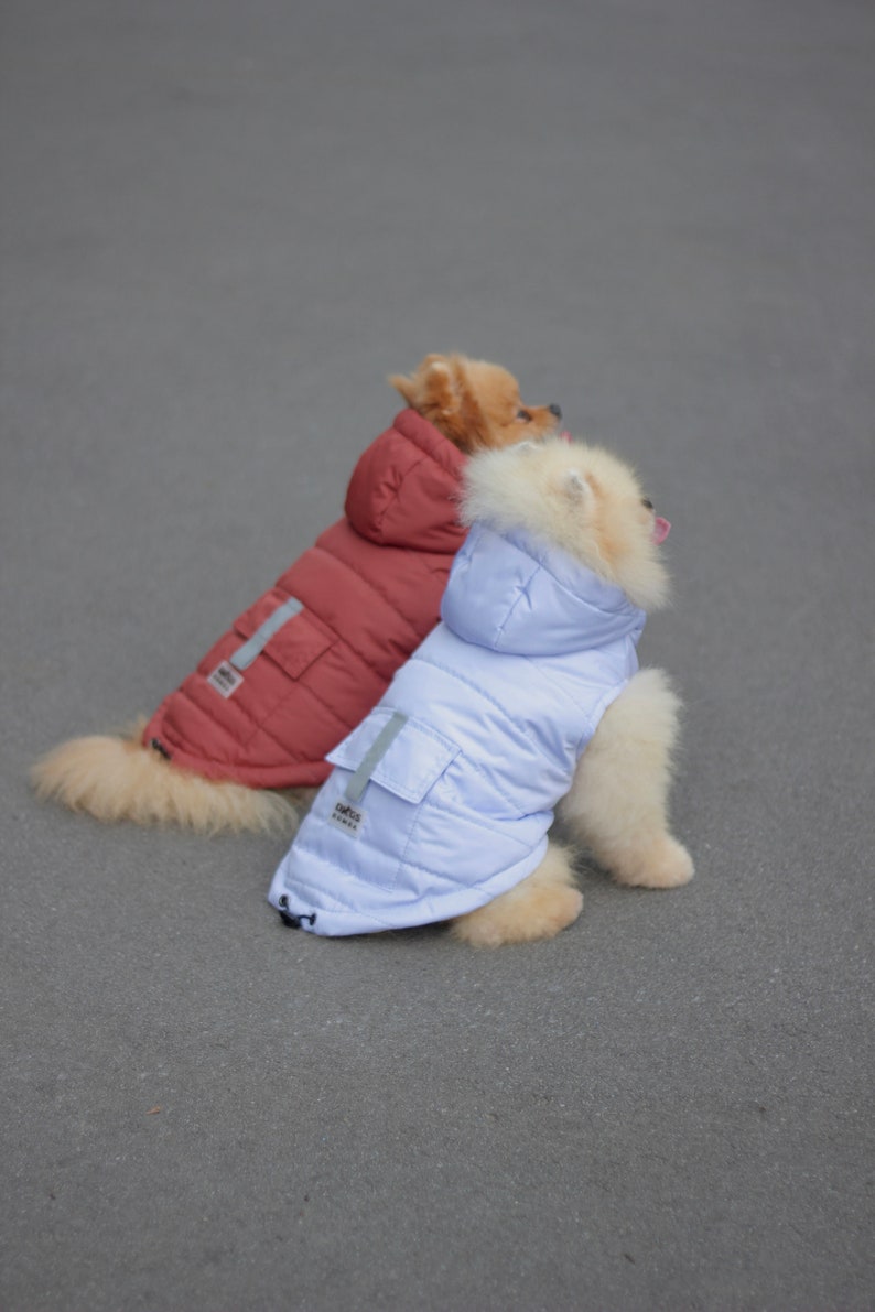 Olive Dog Vest for Winter, Dog Coat With Hood, Small Dog Harness, Cute