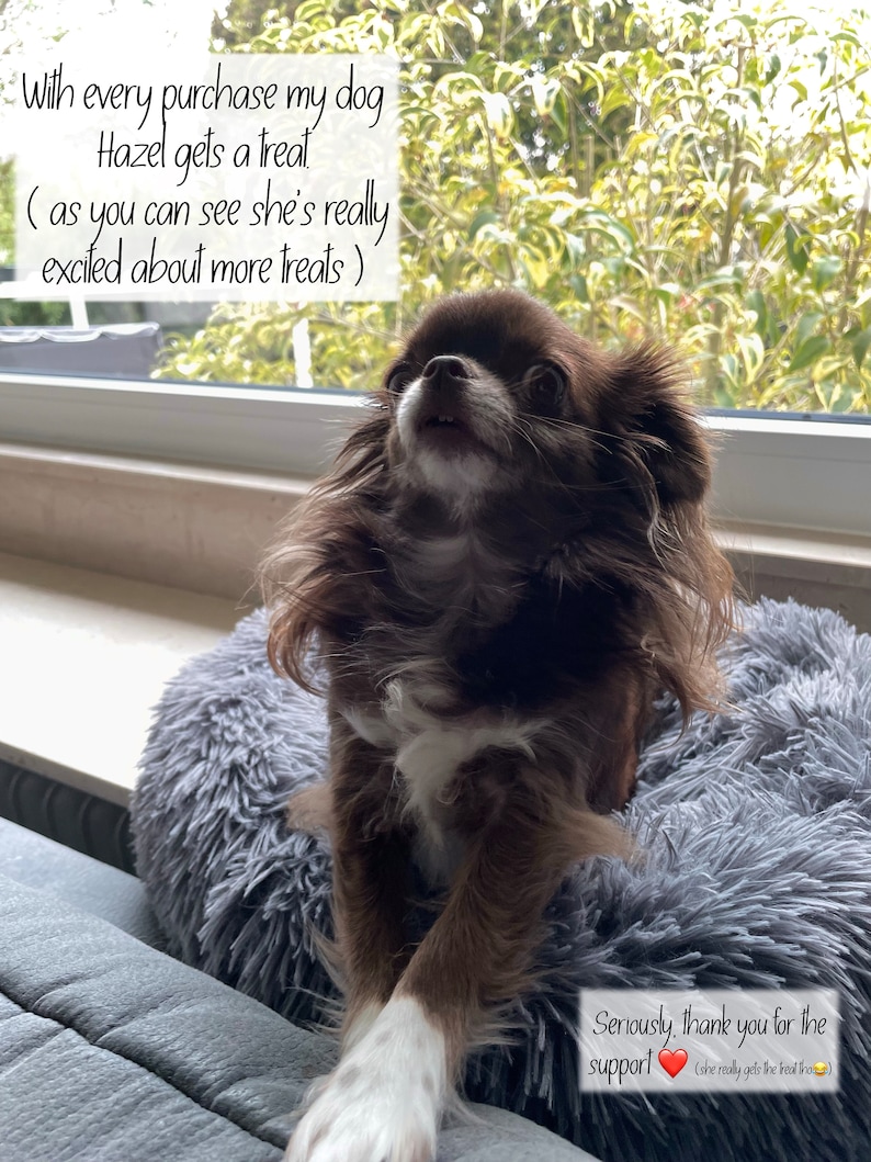 K&ouml;nnte beinhalten: Ein kleiner brauner und wei&szlig;er Chihuahua-Hund sitzt auf einem flauschigen grauen Bett und schaut mit offenem Maul nach oben. Der Hund befindet sich vor einem Fenster mit einer gr&uuml;nen, belaubten Pflanze im Freien. Der Text "With every purchase my dog Hazel gets a treat (as you can see she's really excited about more treats)" ist &uuml;ber dem Hund geschrieben. Der Text "Seriously, thank you for the support (she really gets the treat tho) ❤️" ist unter dem Hund geschrieben.