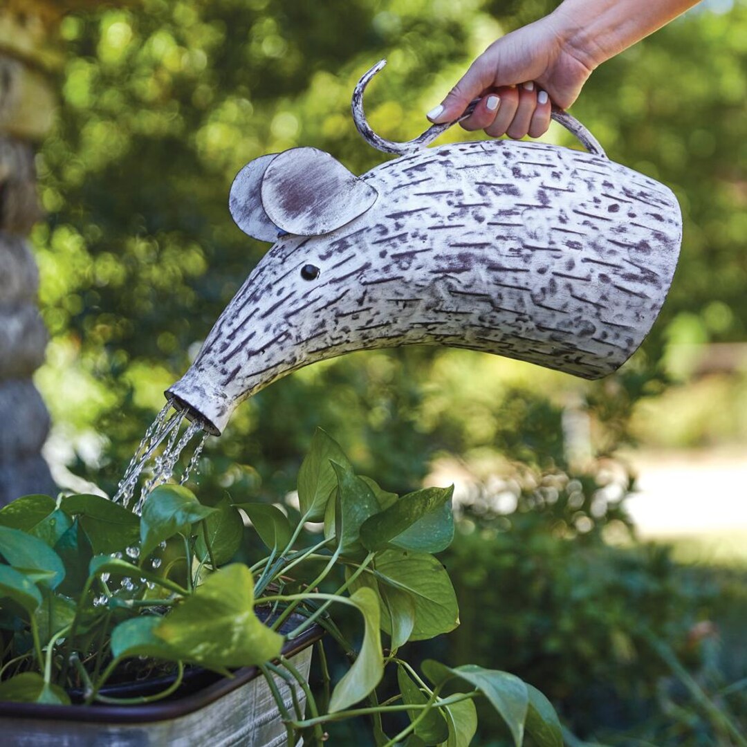Mouse Watering Can – Whimsical Metal Garden Decor - Etsy