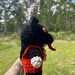 Crochet Krampus Plushie | Krampus Stuffy, Cryptid | Toddler, Kids ...