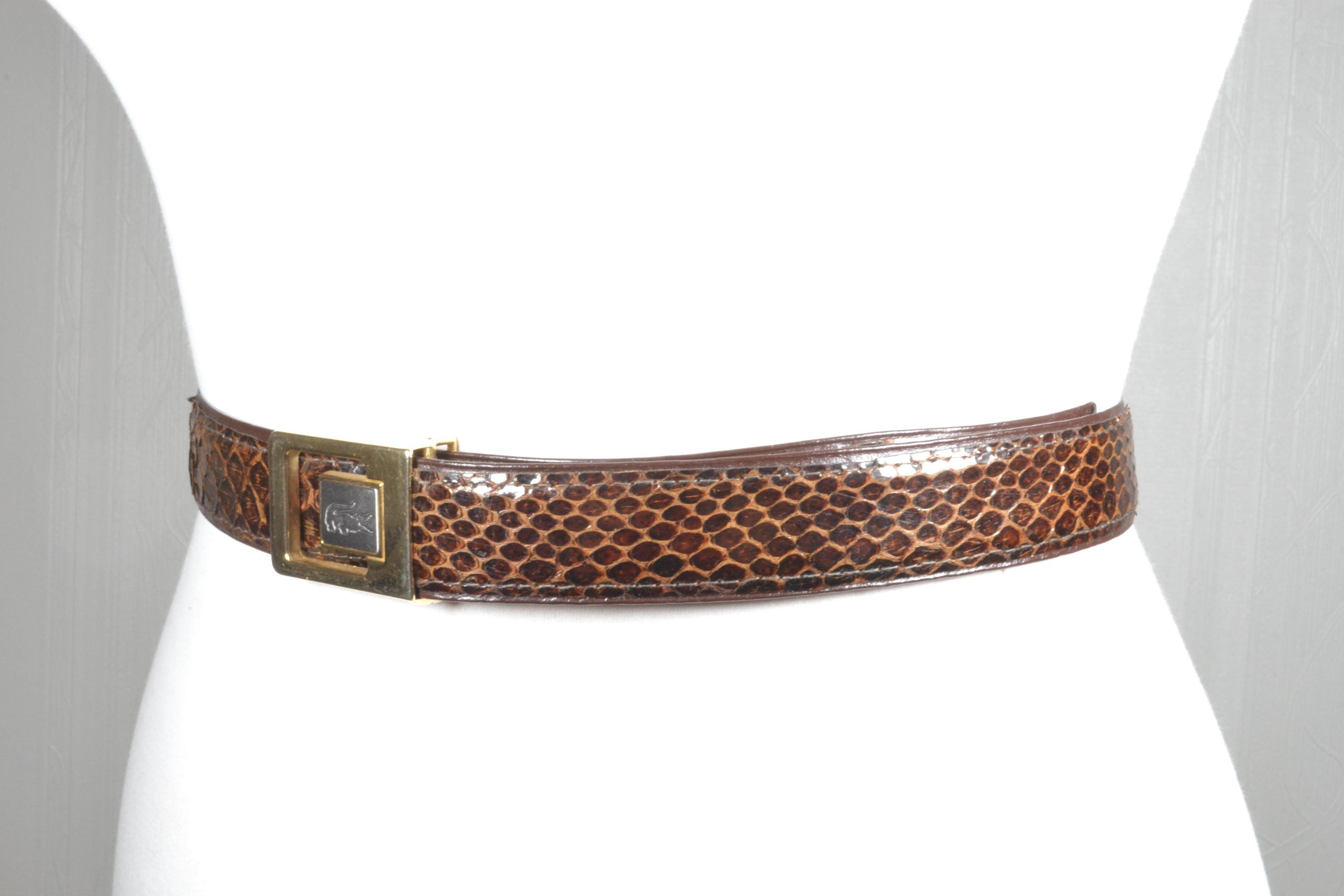 Vintage Wide Brown Reptile Design Contour Belt w/ Wooden Accents & Shell Inlays Brown Lizard Belt - Etsy main image 4