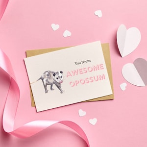 Lustige Valentinstag wunderbare Opossum Karte