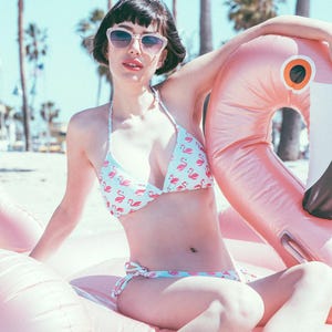 Flamingo Print String Bikini – Flamingo Swimsuit – Cute Summer Flamingo Beachwear – Adjustable Flamingo Triangle Bikini Set – Retro Swimwear