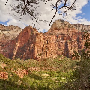 Zion National Park Photography, USA Canyons Photography, Nature Poster, Outdoor Wall Art, Travel Wall Decor, Canyon Land, Utah, Zion Poster