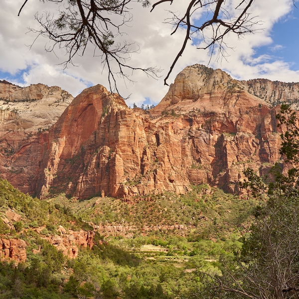 Zion National Park Photography, USA Canyons Photography, Nature Poster, Outdoor Wall Art, Travel Wall Decor, Canyon Land, Utah, Zion Poster