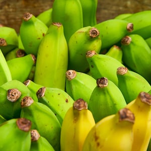 Bananas Wall Poster, Banana Wall Decor, Hawaiian Bananas Wall Print, Tropical Poster, Fruit Market Poster, Kitchen Print, Food Poster, Maui