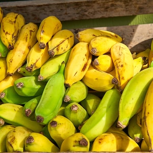 Bananas Wall Poster, Banana Wall Decor, Hawaiian Bananas Wall Print, Tropical Poster, Fruit Market Poster, Kitchen Print, Food Poster, Maui