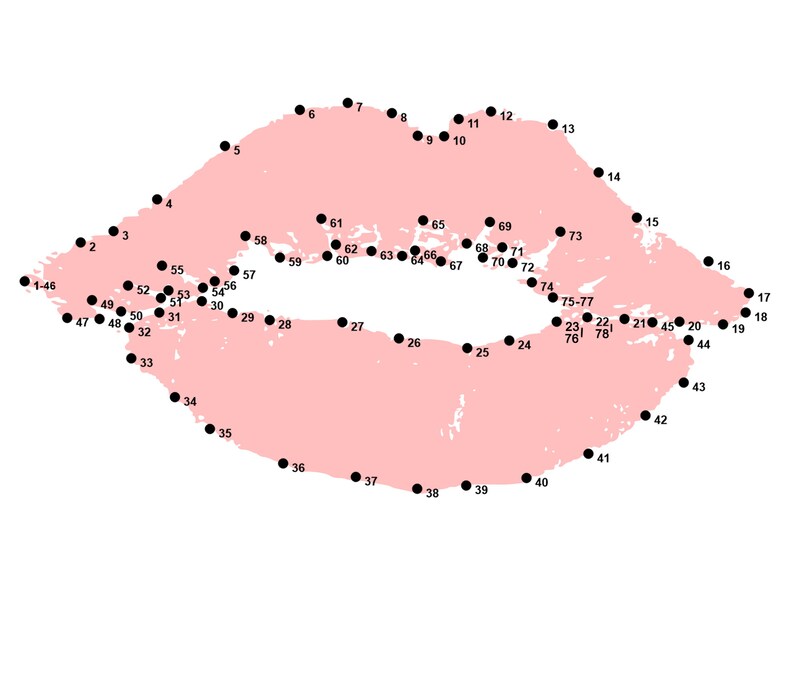 YOUR PICTURE Custom Connect the Dot Dottodot Image 100 to 120 Points