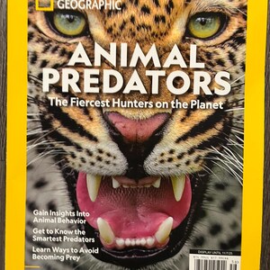 National Geographic Animal Predators Magazine - Etsy