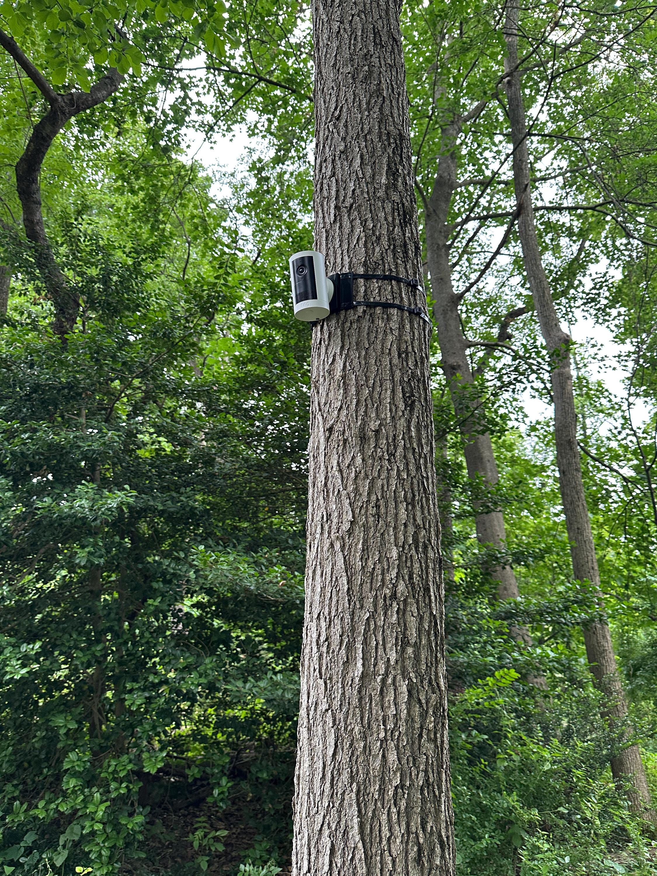 Tree Mount for RING Cameras - Etsy