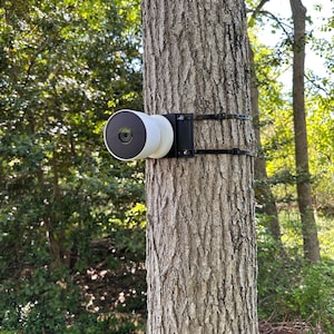 May include: A white and black circular security camera mounted to a tree trunk using a black plastic bracket and two black adjustable straps. The camera features a central lens and a smooth, rounded housing, securely fastened to the textured bark.