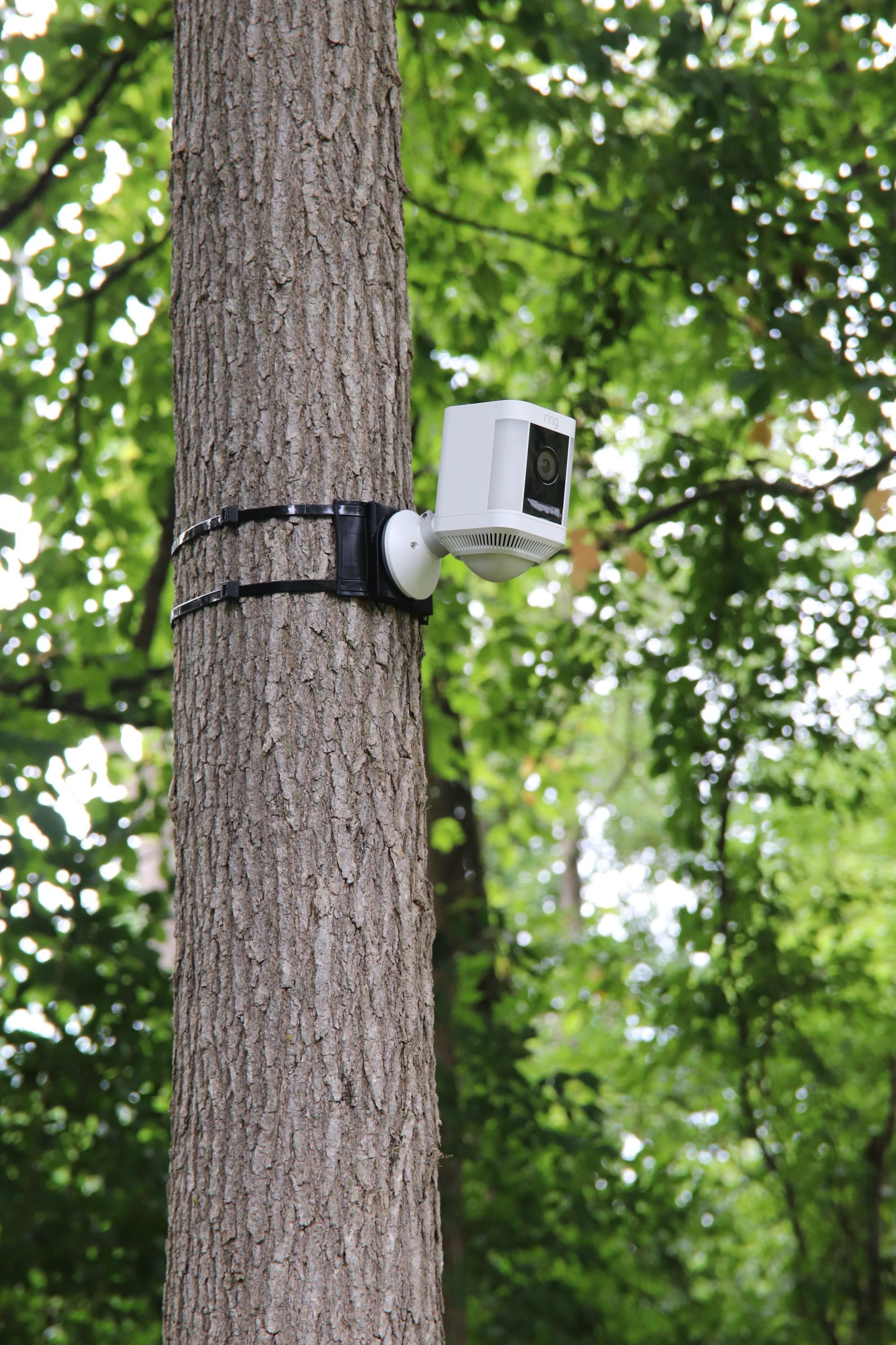 Tree Mount for RING Cameras - Etsy