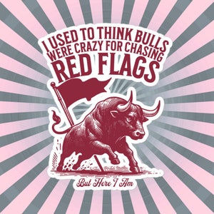 Pegatina de vinilo con un divertido meme de relaciones. Solía pensar que los toros estaban locos por perseguir banderas rojas, pero aquí estoy. Regalo de broma divertido.