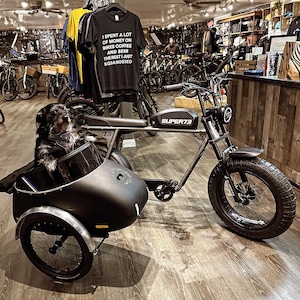 Bicycle Sidecar Mini