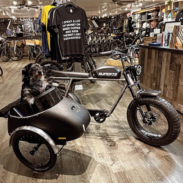 Bicycle Sidecar Mini