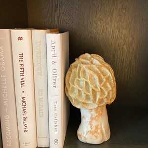 Mushroom Sculpture, Ceramic Mushroom, Hand Built Morel Mushroom, Mushroom Lover Gift, Mushroom Garden Art, Mushrooms image 6