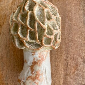 Mushroom Sculpture, Ceramic Mushroom, Hand Built Morel Mushroom, Mushroom Lover Gift, Mushroom Garden Art, Mushrooms image 3