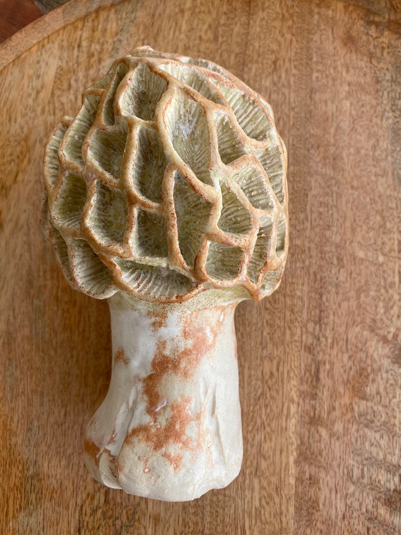 Mushroom Sculpture, Ceramic Mushroom, Hand Built Morel Mushroom, Mushroom Lover Gift, Mushroom Garden Art, Mushrooms image 3