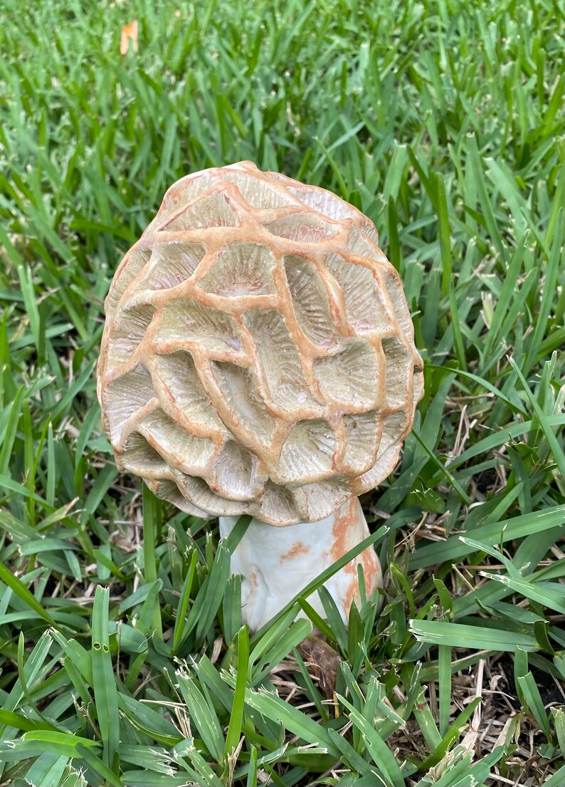 Mushroom Sculpture, Ceramic Mushroom, Hand Built Morel Mushroom, Mushroom Lover Gift, Mushroom Garden Art, Mushrooms image 8