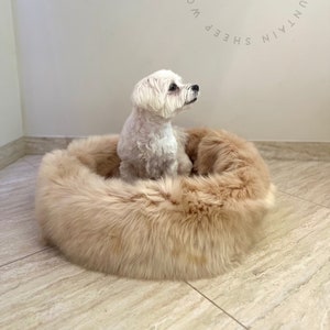 Real Sheepskin Beige Creamy Dog bed, Cat Bed, Pouf Dog, Pouf Cat, for pets, gift for dog, gifts for dogs pet Cat Mat Pet Furniture Sheepskin