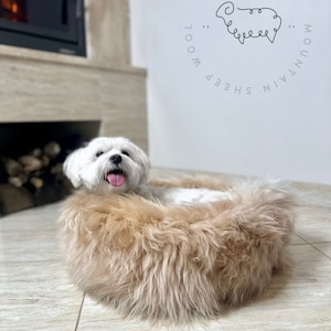 May include: A white dog with its tongue out is lying in a light brown, fluffy dog bed. The bed is on a light brown tiled floor. The text "DERISI MOUNTAIN SHEEP WOOL" is written in a circle on a white wall behind the dog.