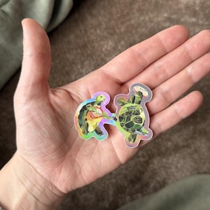 May include: Two holographic turtle stickers. One turtle is yellow and green, the other is green and brown. The stickers are held in a hand. The stickers have a shiny, iridescent finish.