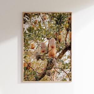 Italienisches Obstbaum Poster, Italienisches Obstbaum Dekor, Italien Landschaft Wand Kunst, Reise Poster, Flora und Fauna Italiens, Sommer Garten Ansichten Druck